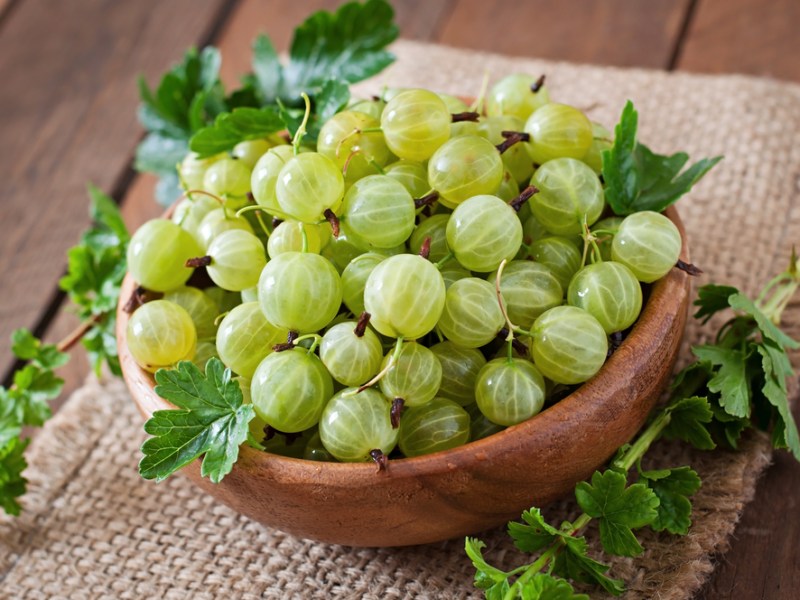 Indian Gooseberry – and what it means for your home&nbsp;kombuchery